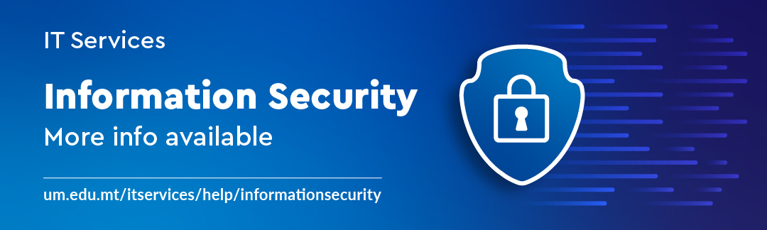 IT Services Information Security. Click to access the respective pages